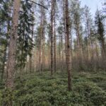 IMG_20260429_184047872_HDR
