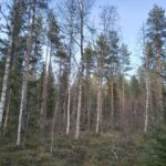 IMG_20260429_192806426_HDR