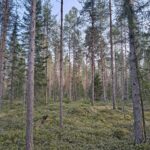 IMG_20260429_193937232_HDR