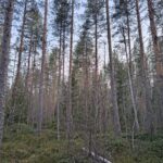 IMG_20260429_200726167_HDR