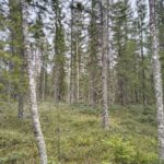 IMG_20260430_152247107_HDR