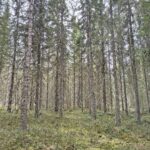 IMG_20260430_152413896_HDR